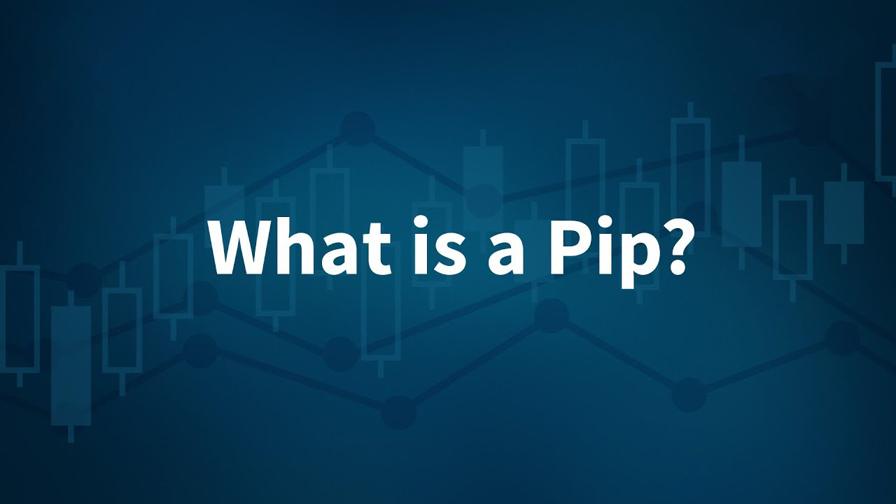 پیپ در فارکس چیست؟ توضیح جامع و کامل+ قیمت هر PIP به دلار